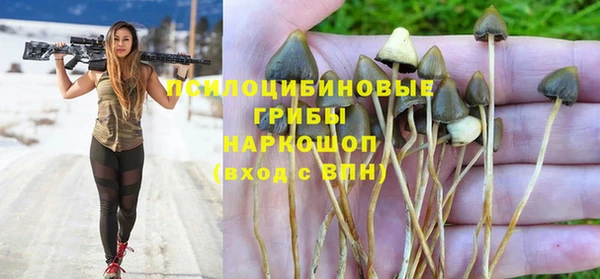 гашиш Арсеньев