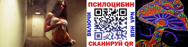 Псилоцибиновые грибы мицелий  ОМГ ОМГ ссылка  Таруса 
